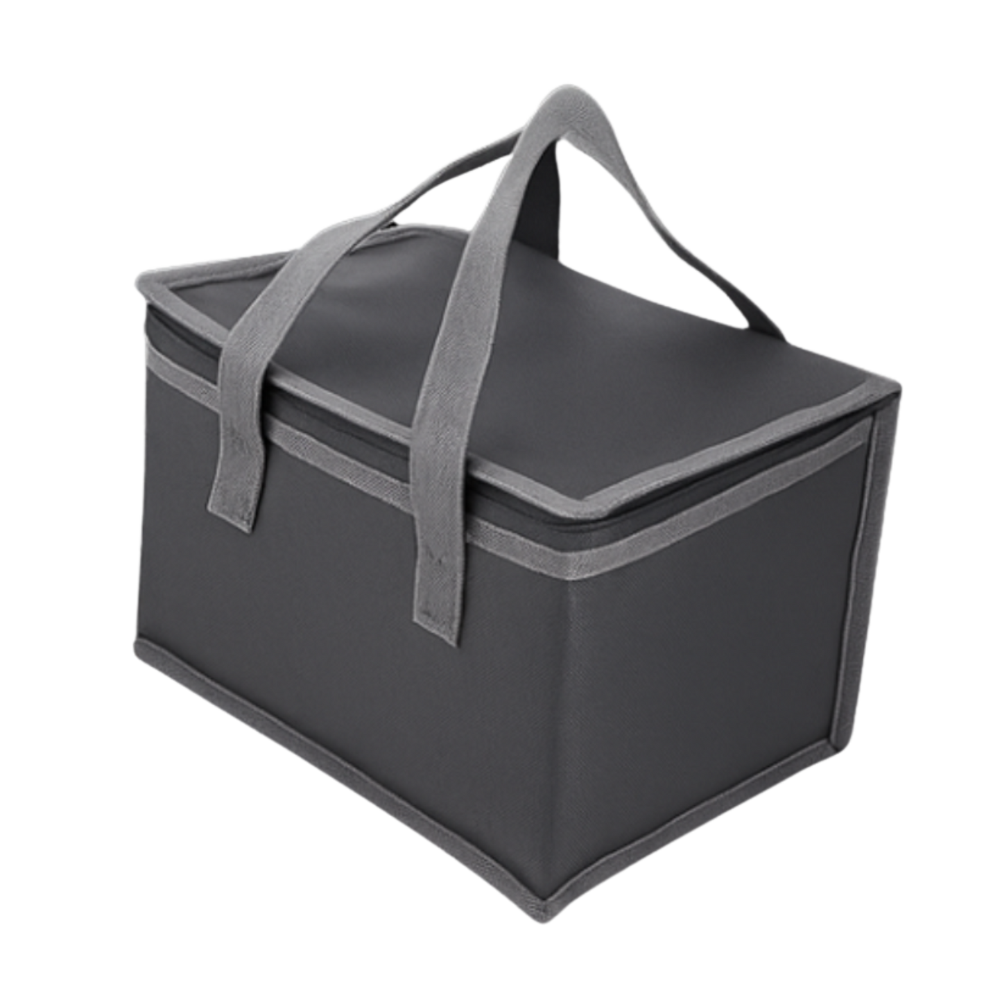 FREE Insulated Carrying Bag